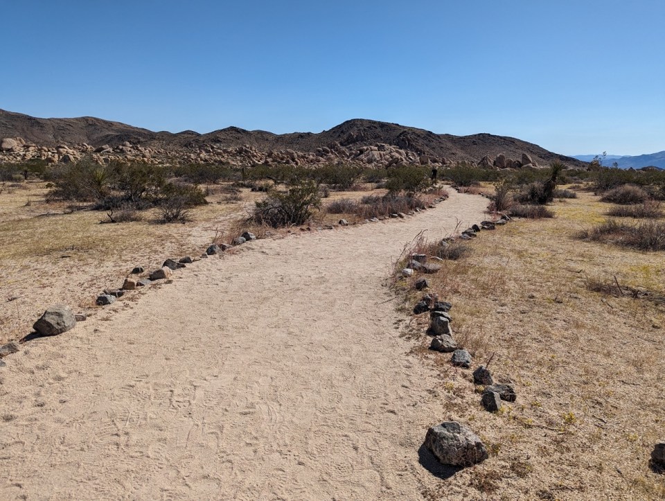 Arch Rock Trail à Joshua Tree National Park 