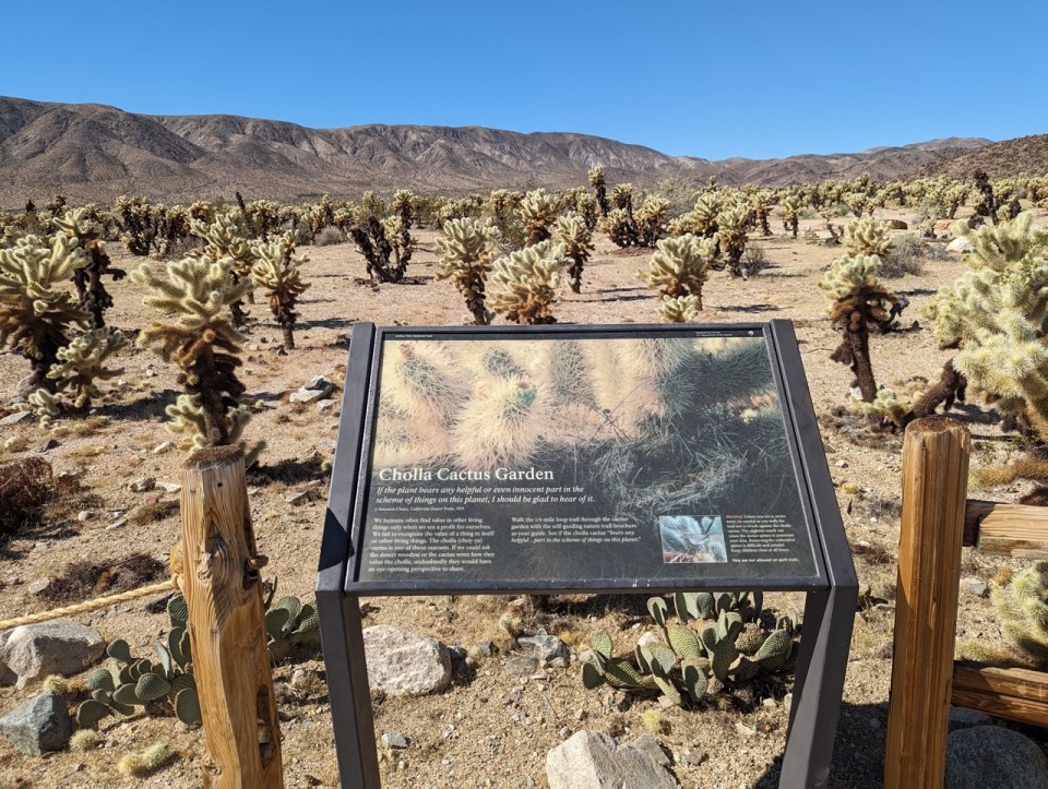 Cholla Cactus Garden Trail à Joshua Tree National Park 