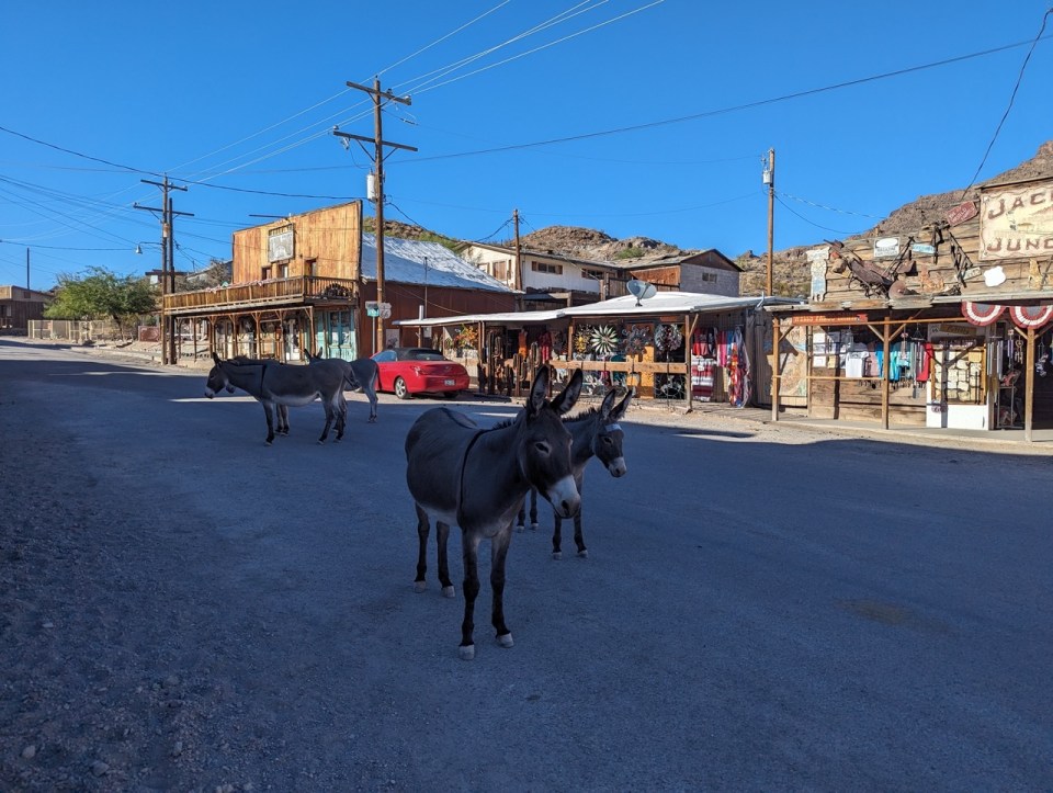 Oatman sur la route 66