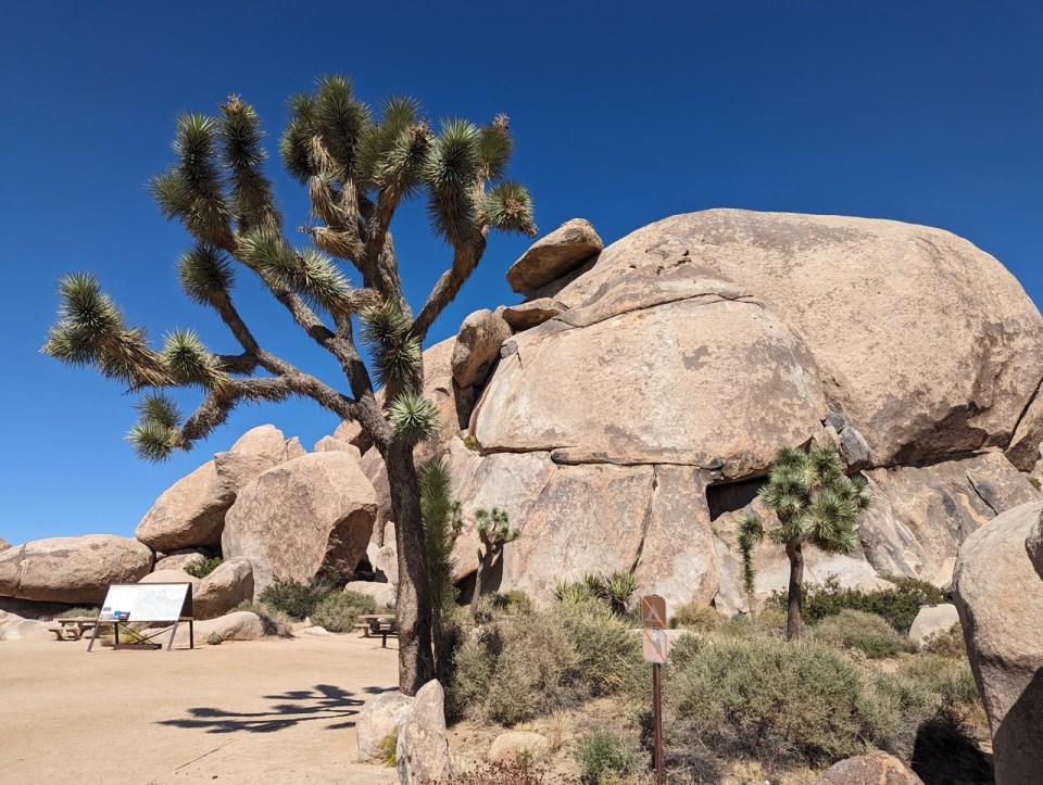 Cap Rock à Joshua Tree National Park 