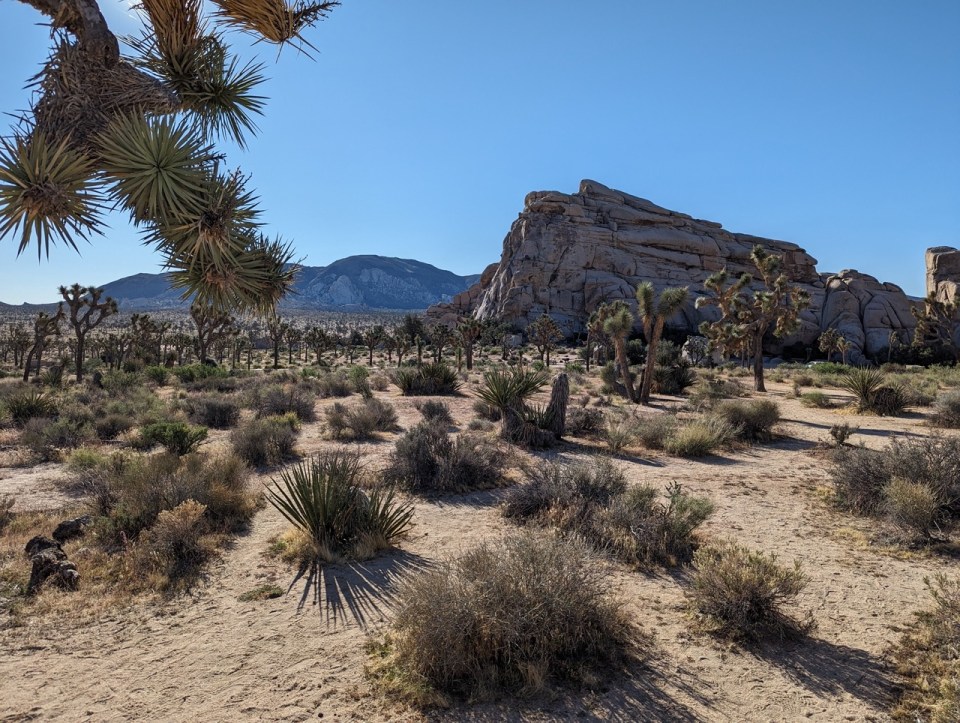 Hidden Valley Trail à Joshua Tree National Park 