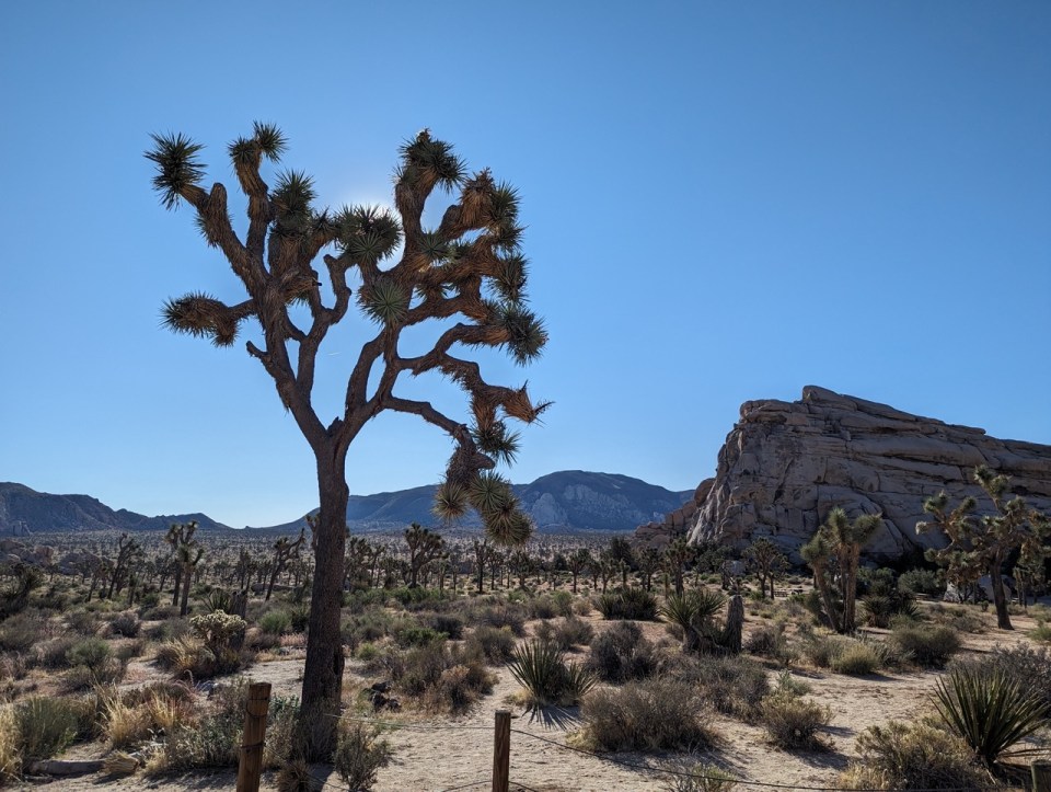 Hidden Valley Trail à Joshua Tree National Park 