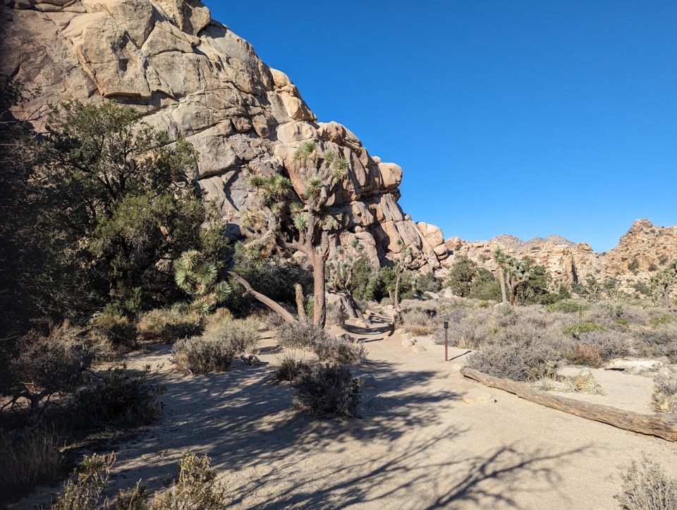 Hidden Valley Trail à Joshua Tree National Park 