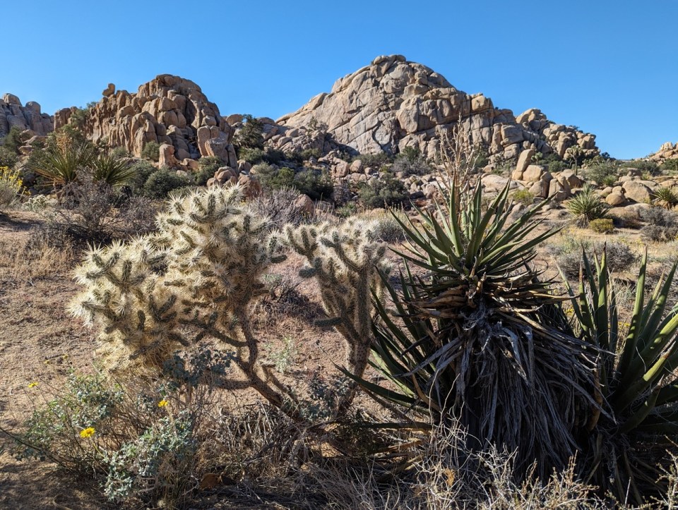 Hidden Valley Trail à Joshua Tree National Park 