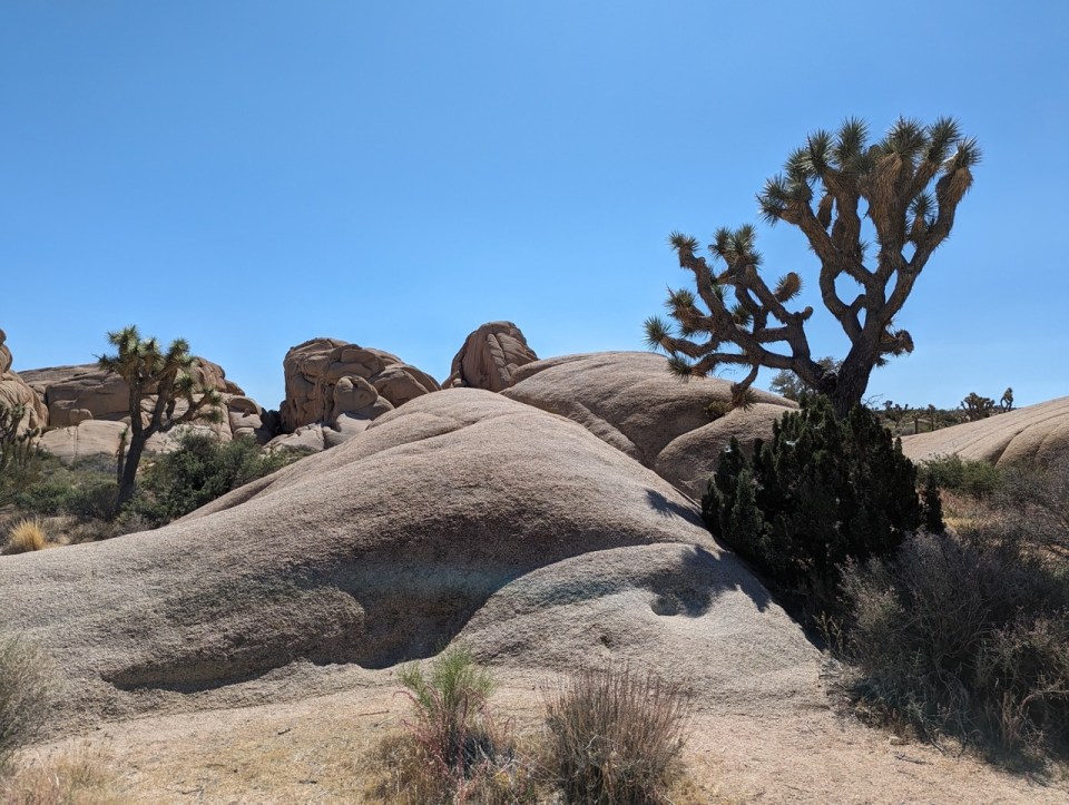 Jumbo Rocks à Joshua Tree National Park 