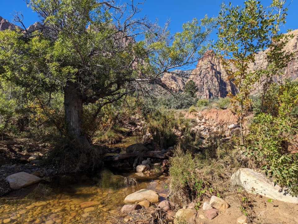 randonnée au Red Rock Canyon