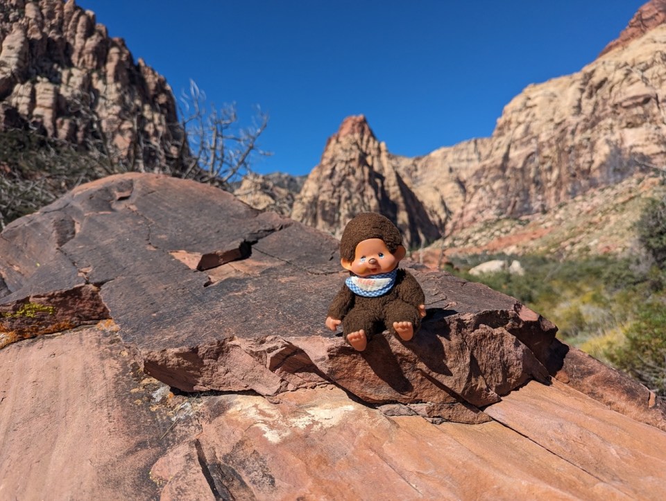 visiter le Red Rock Canyon