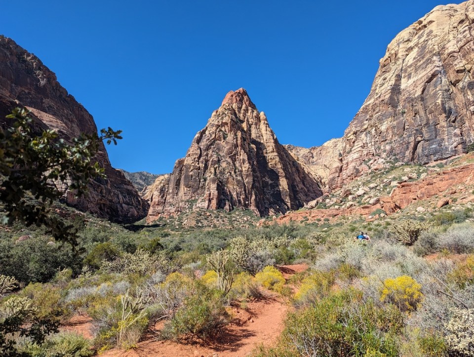 Pine Creek Canyon au Red Rock Canyon