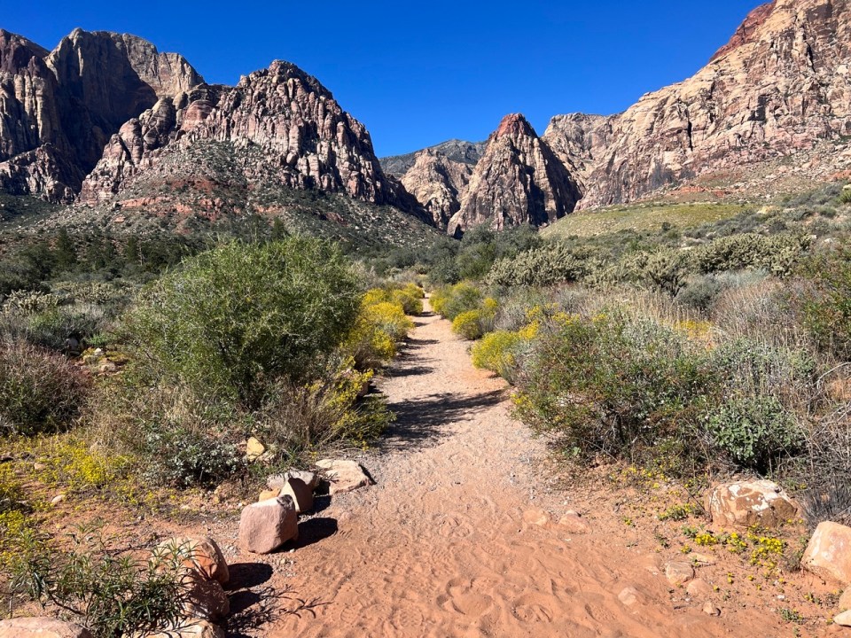 Pine Creek Canyon au Red Rock Canyon