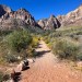 Red Rock Canyon