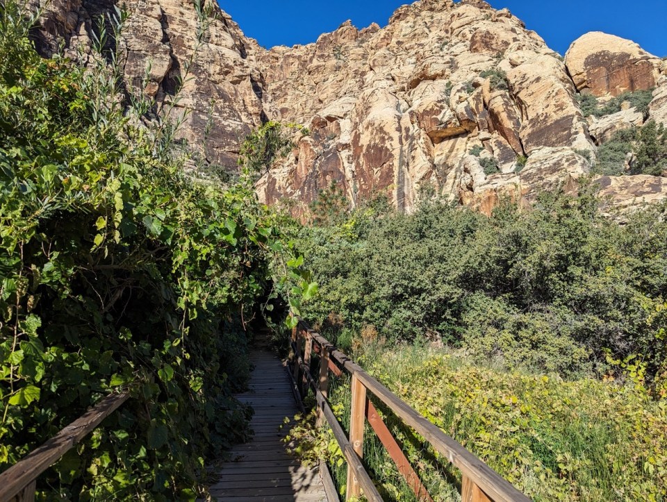 Willow Springs Loop to Lost Creek