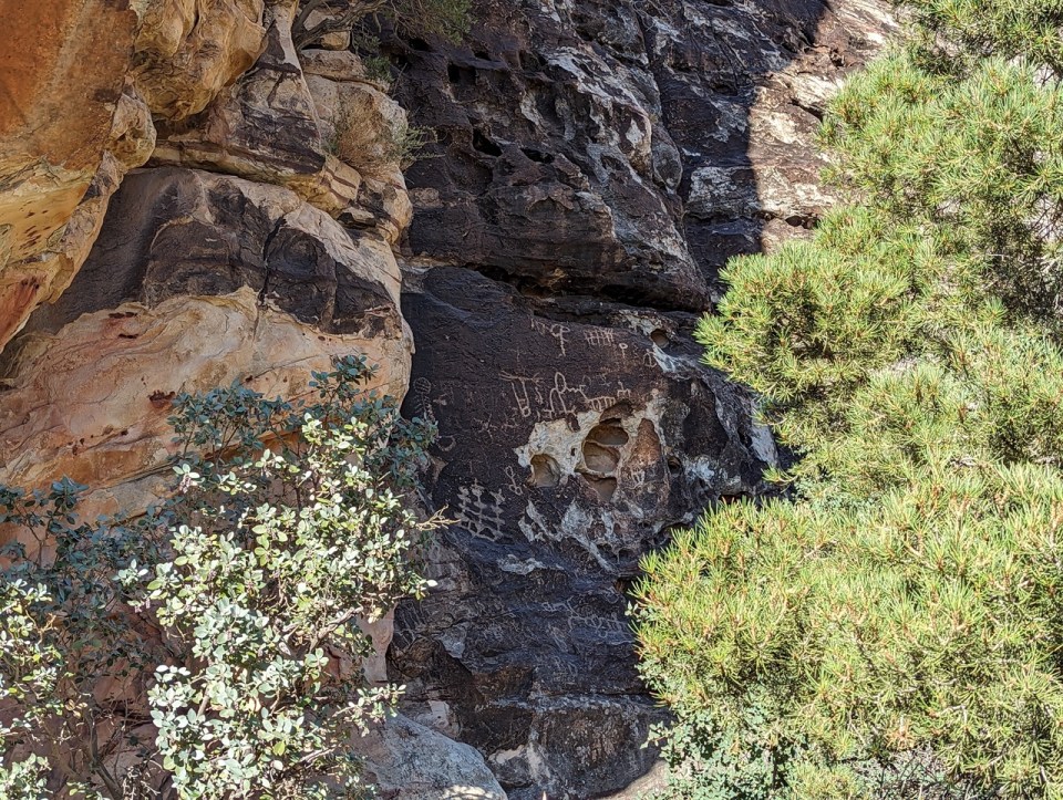 Petroglyph Wall Trail 