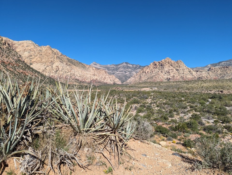 Red Rock Wash Overlook 