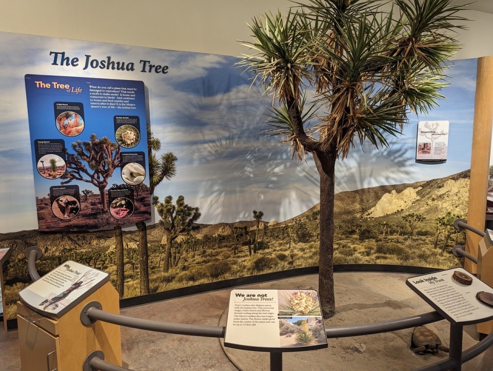 Visitor Center Joshua Tree 