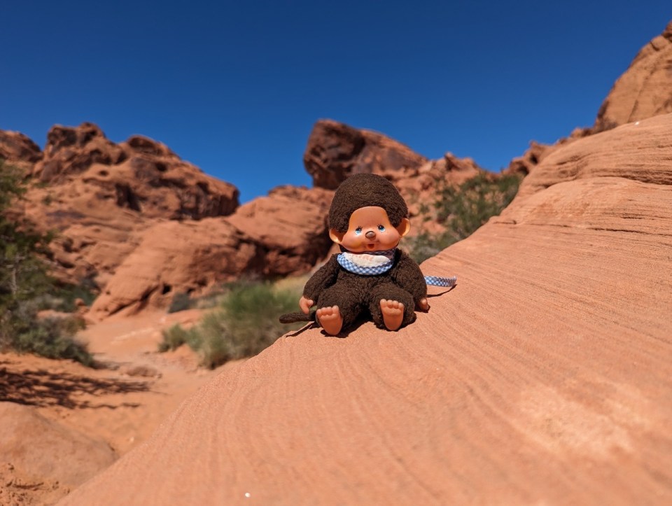 Visiter le Valley of Fire state park