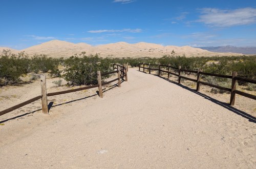 visiter le Mojave National Preserve