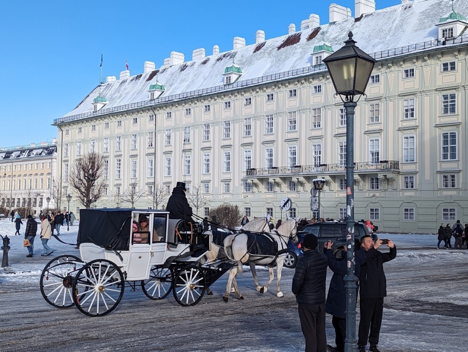 visiter Vienne en calèche