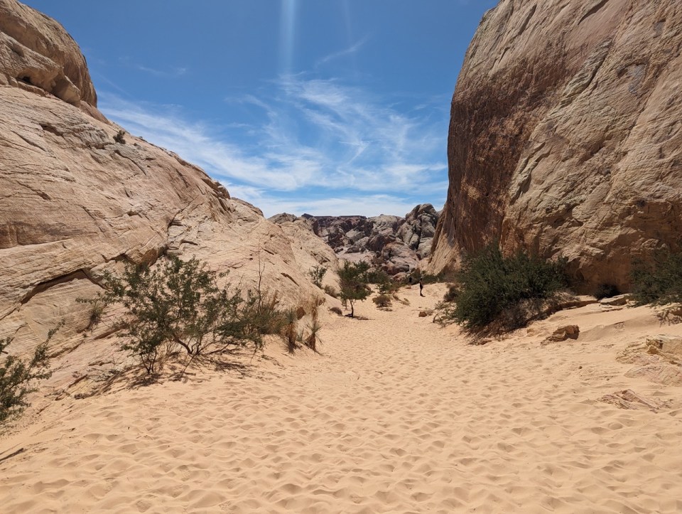 White Domes Trail dans la Valley of Fire