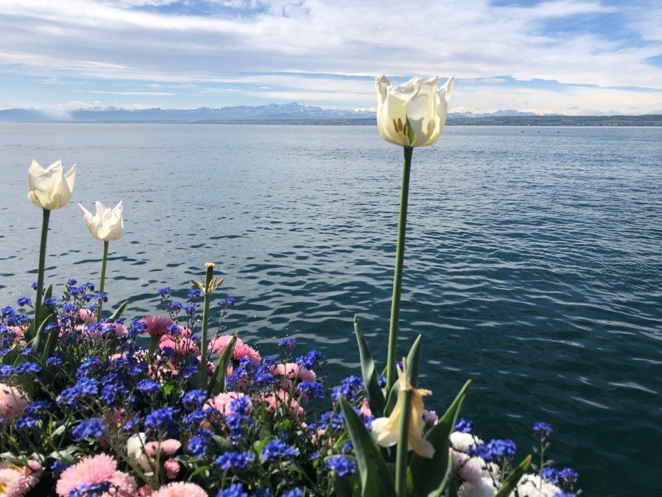 Meerbursg au bord du Lac de Constance