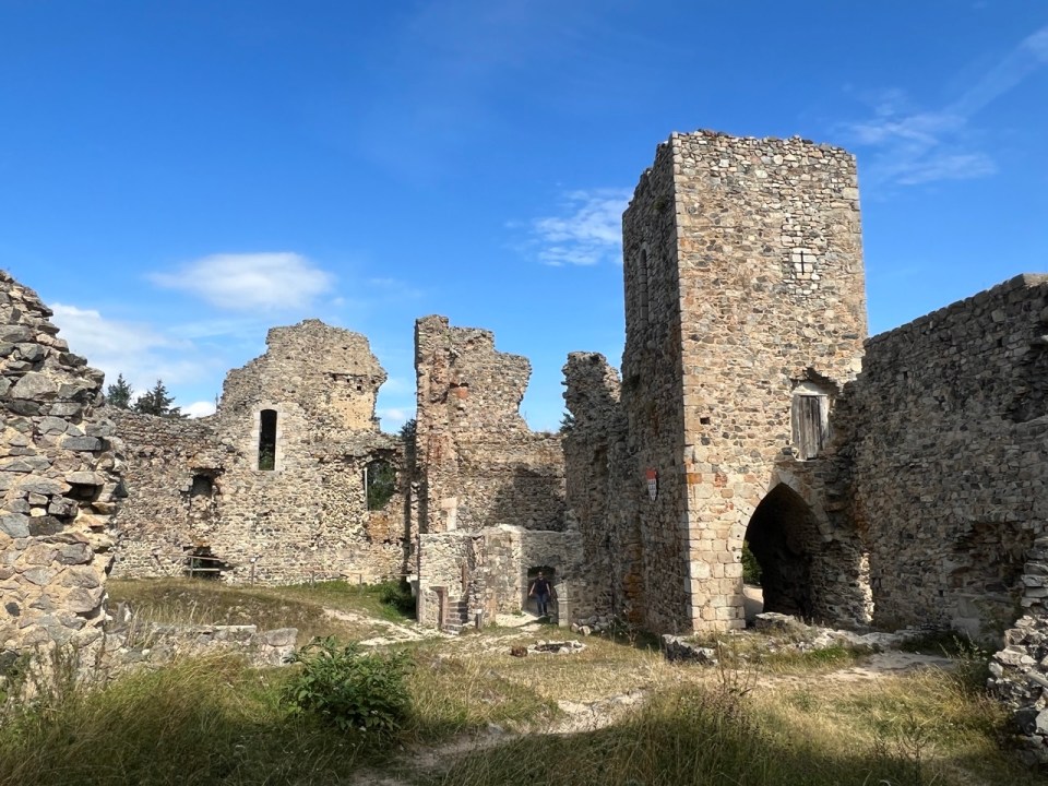Château des Cornes d'Urfé dans la Loire