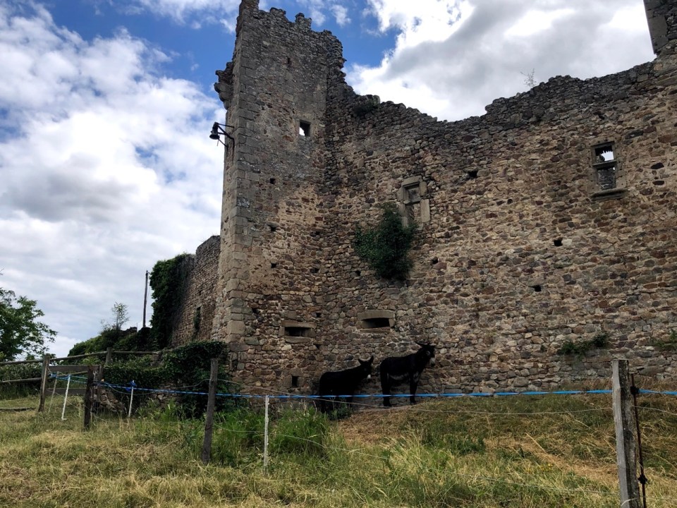 Château de Couzan à Sail Sous Couzan