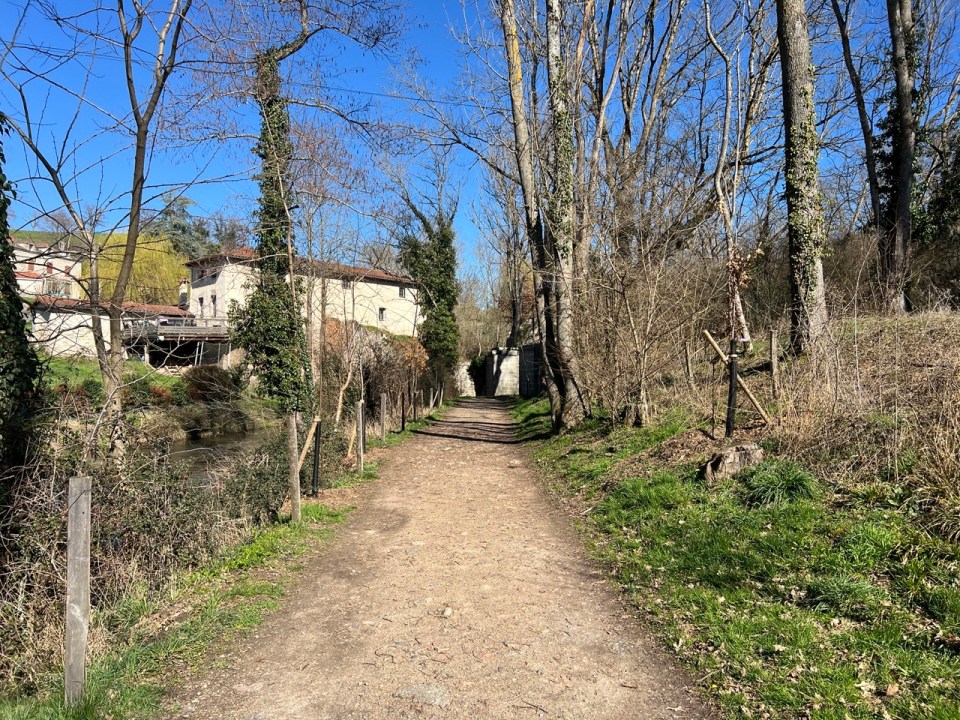 site médiéval de Donzy