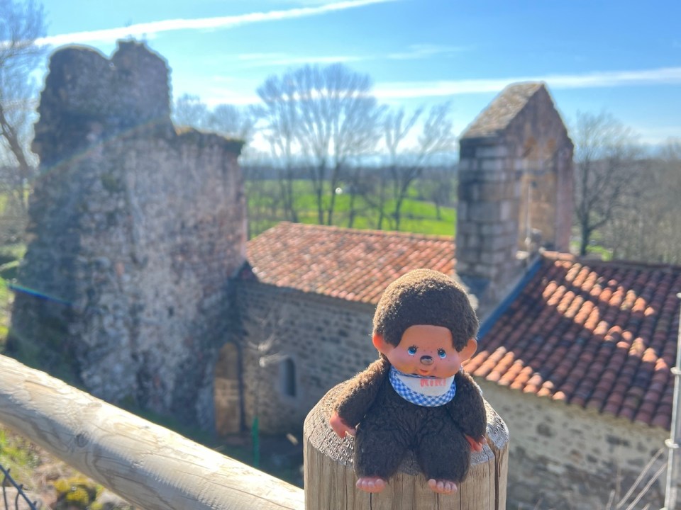 vestiges de châteaux dans la Loire
