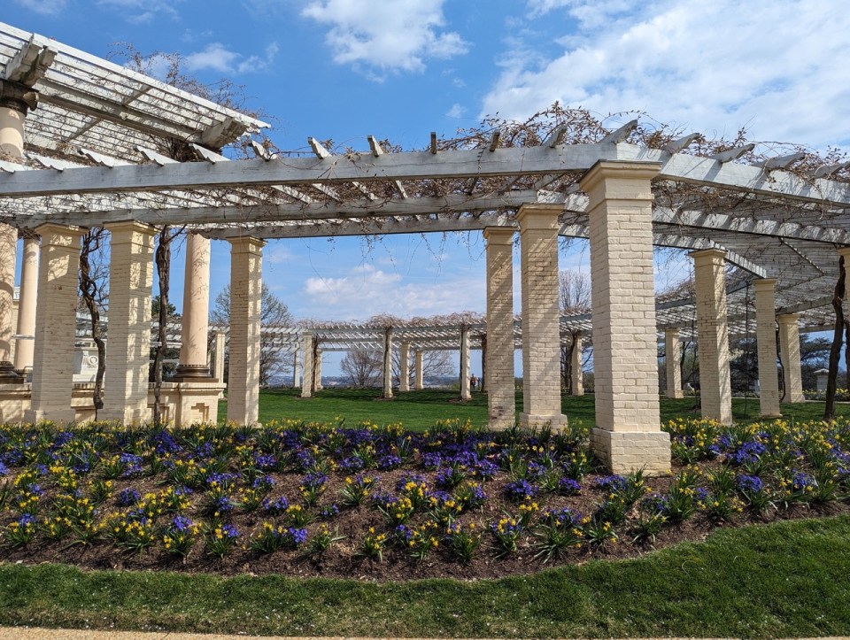 cimetière national d'Arlington