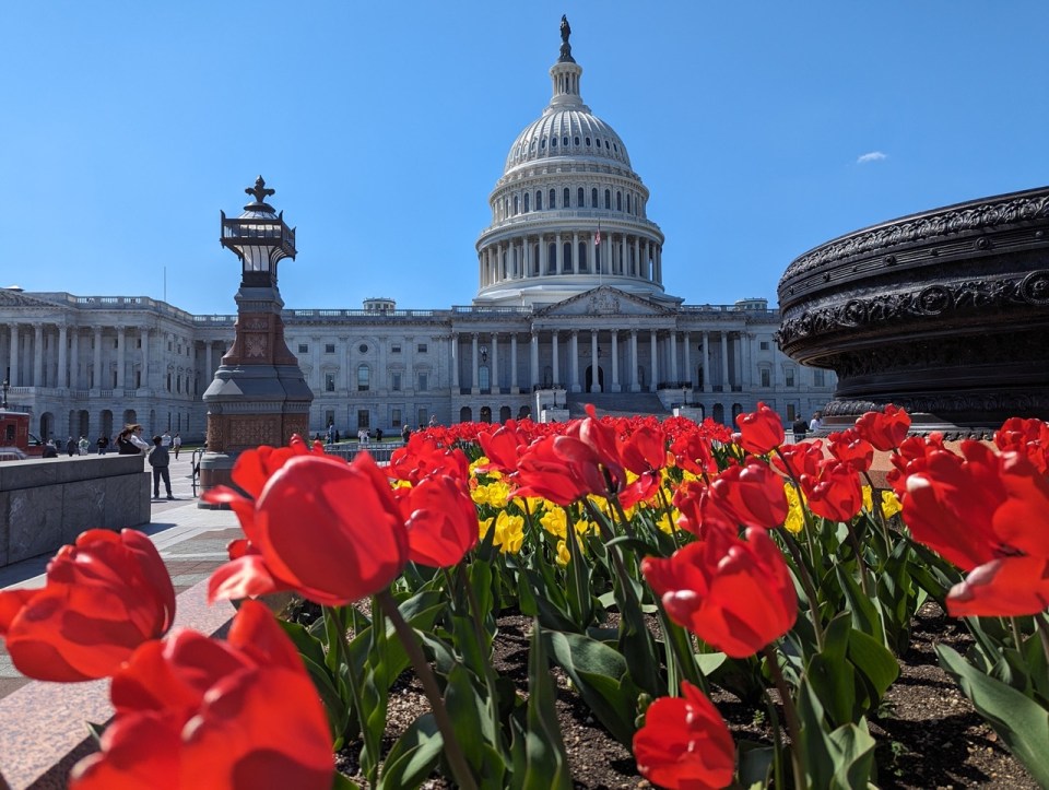 Capitole des États Unis à Washington
