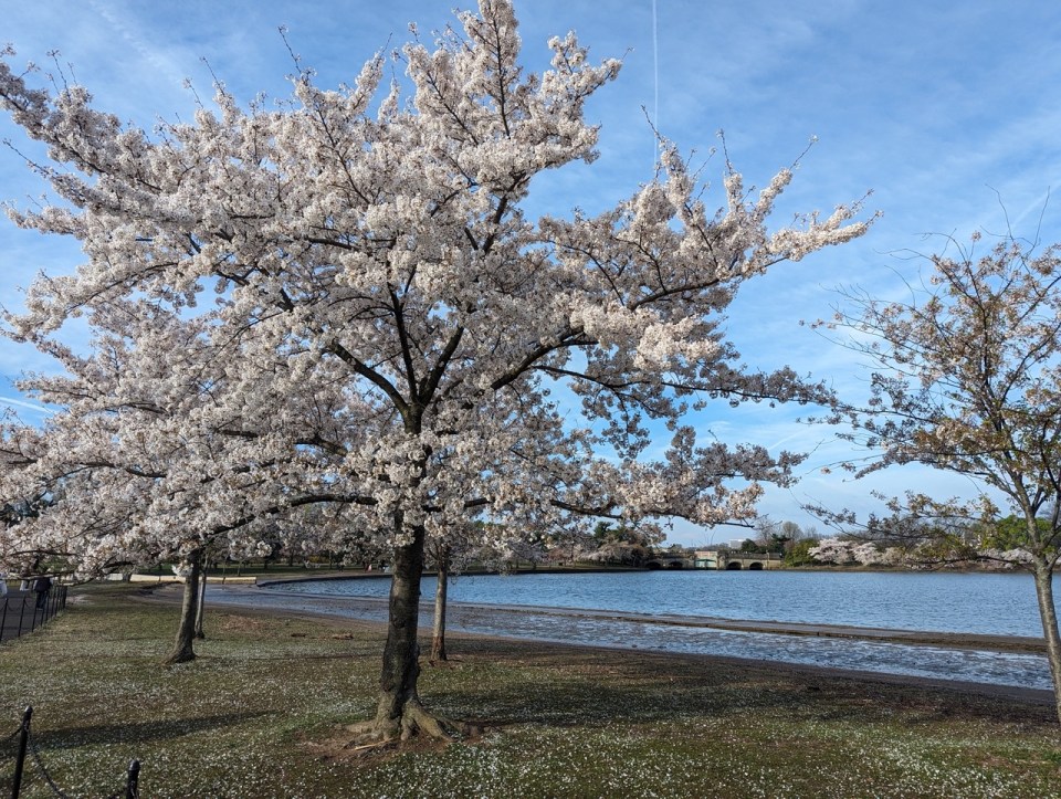 Jefferson Memorial à Washington 