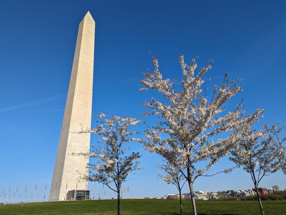 Washington Monument 