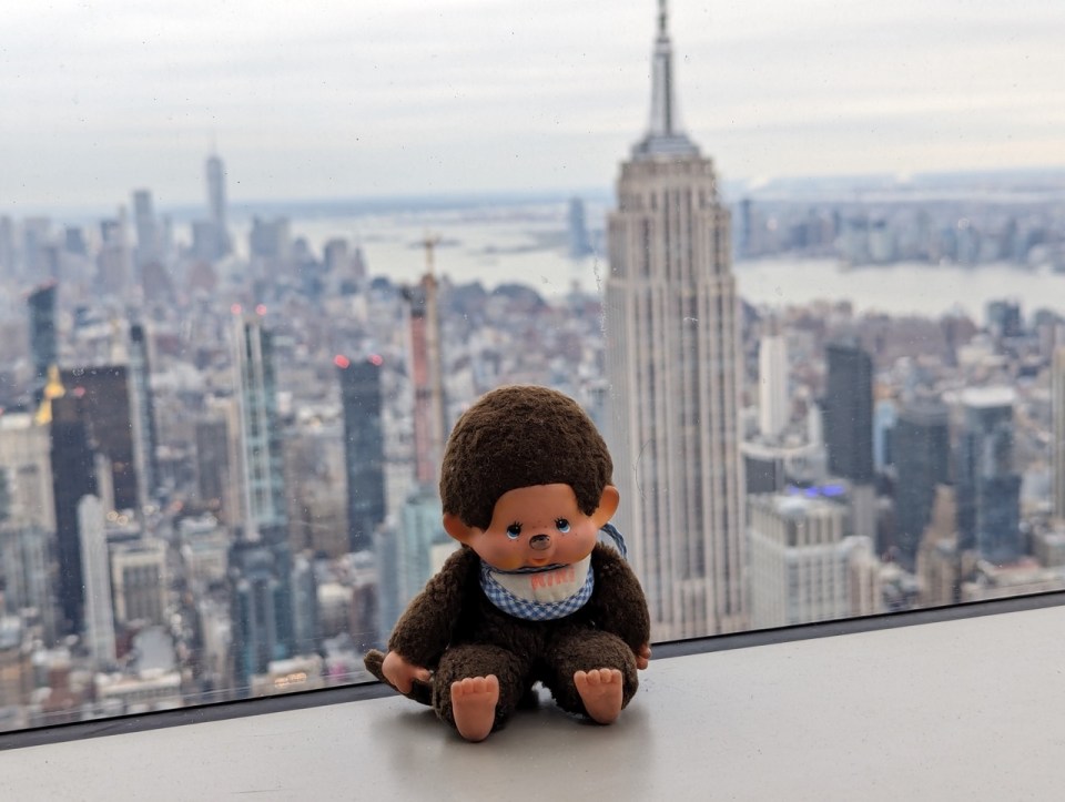 Kiki découvre les observatoires à New York