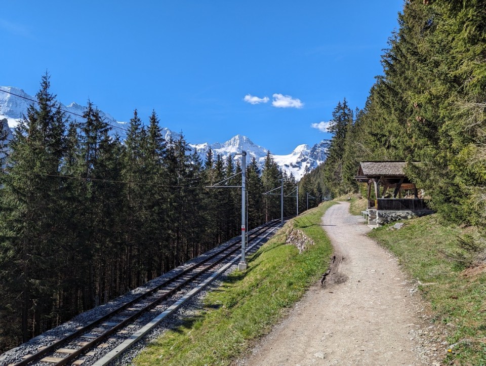 randonnée Grütschalp- Winteregg- Mürren
