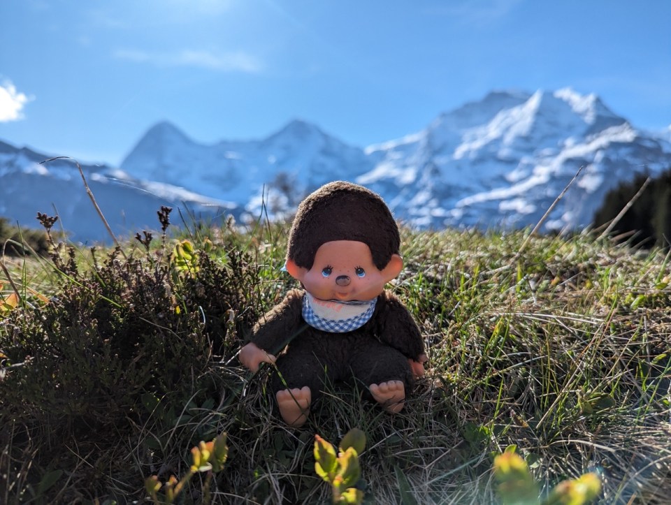 randonnée Grütschalp- Winteregg- Mürren