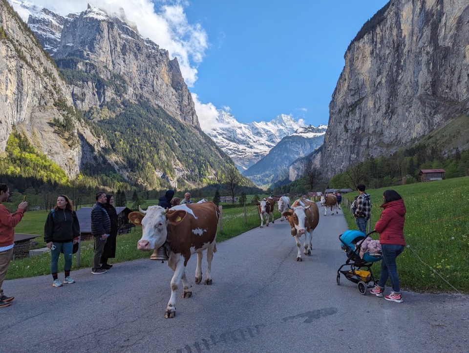 randonnée de Lauterbrunnen à Stechelberg