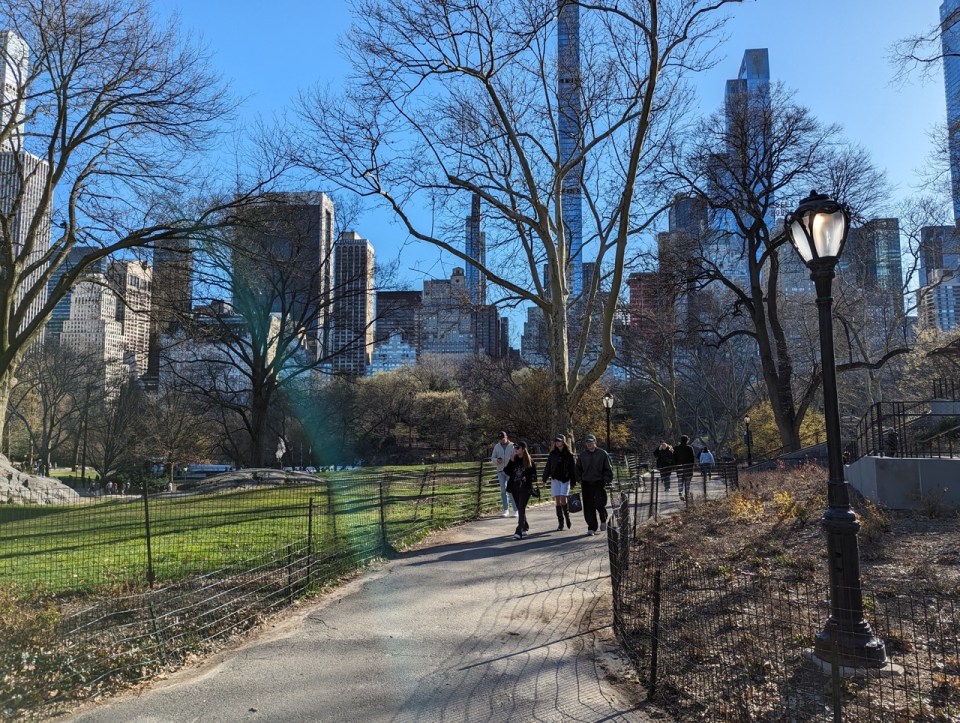 Central park à New York en 5 jours 