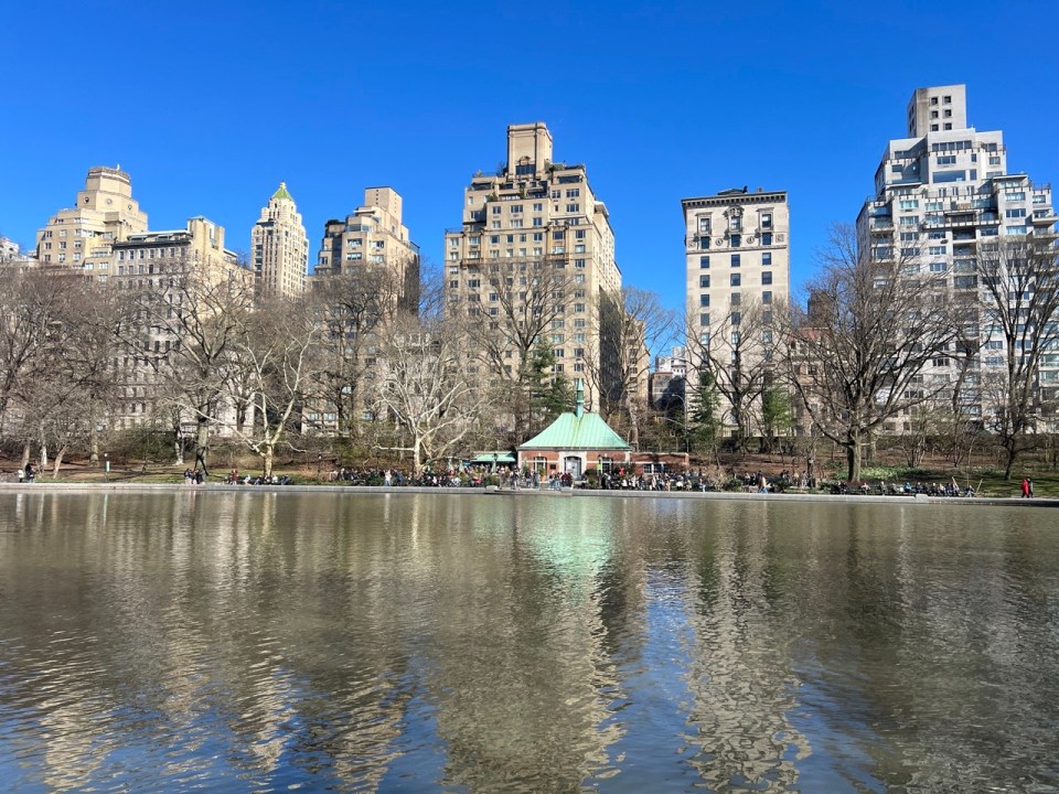 Central park à New York en 5 jours 