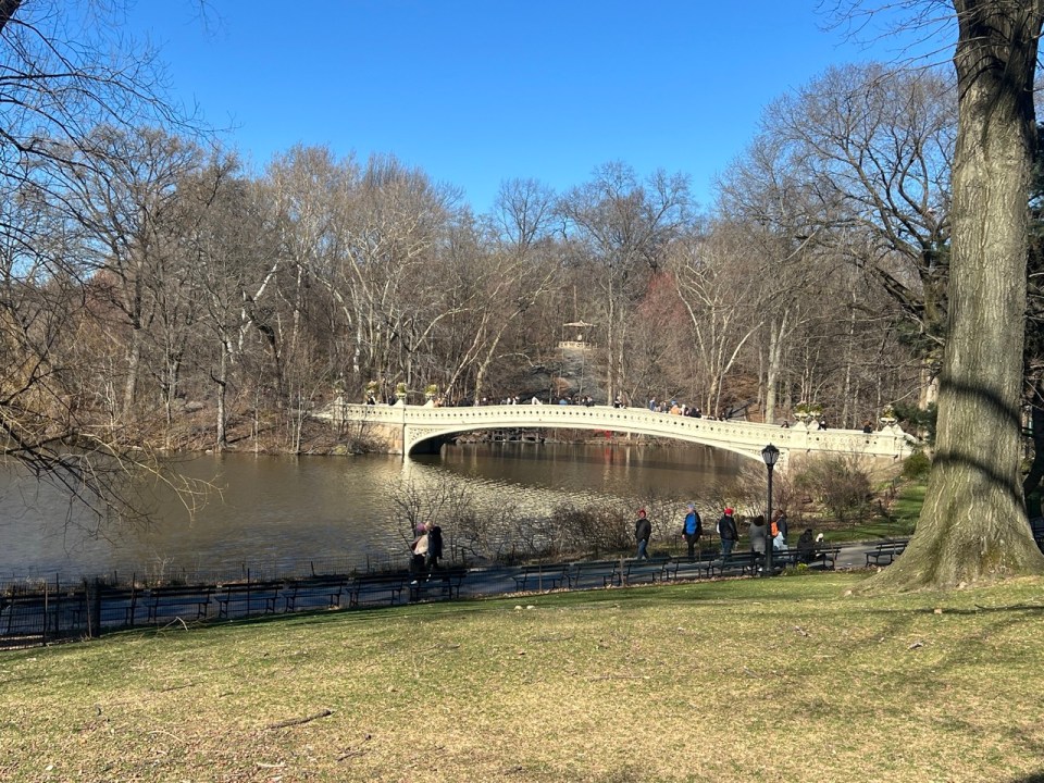 Central park à New York en 5 jours 