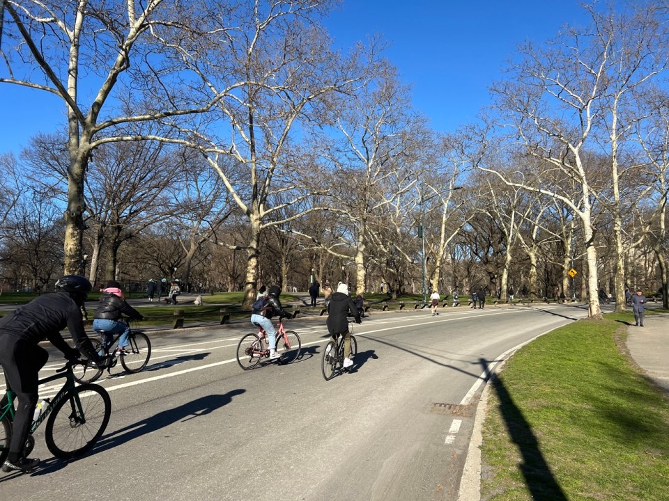 Central park à New York en 5 jours 