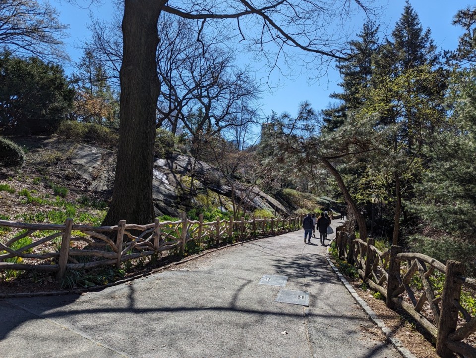 Central park à New York en 5 jours 