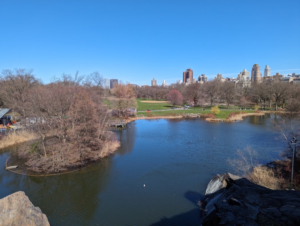 Central park à New York en 5 jours 