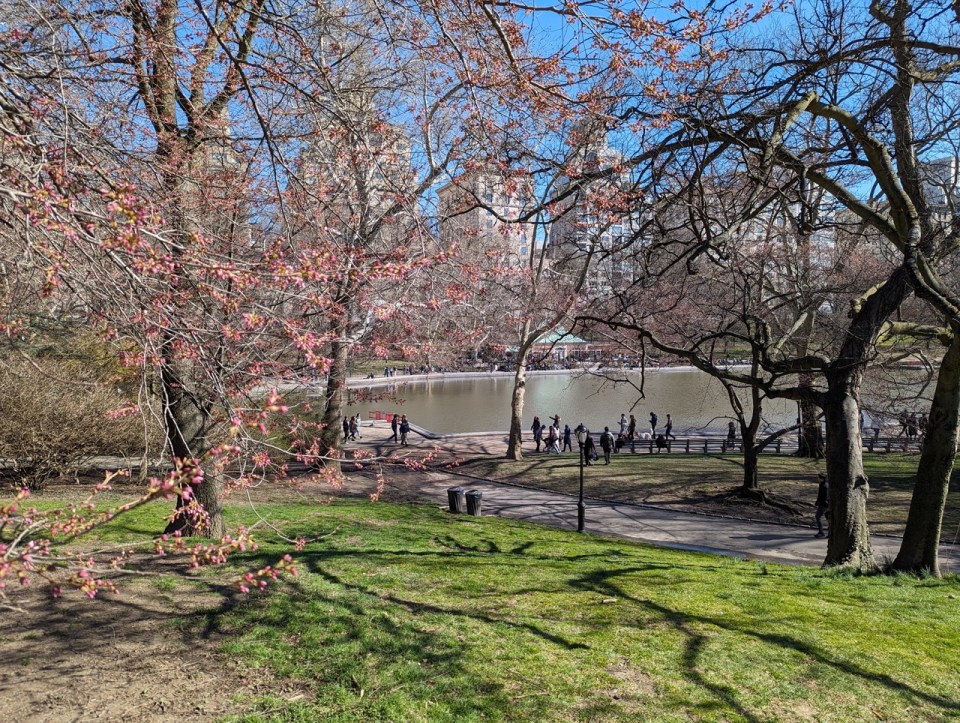 Central park à New York en 5 jours 