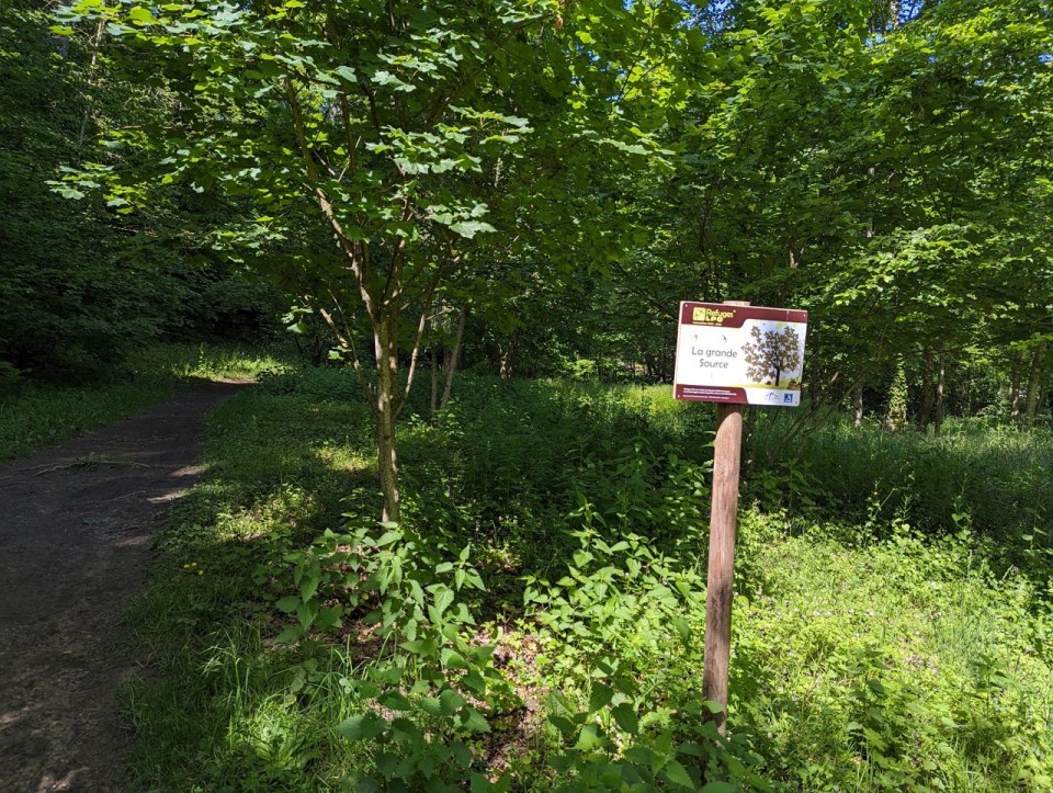 Les sources de Divonne-les-Bains 