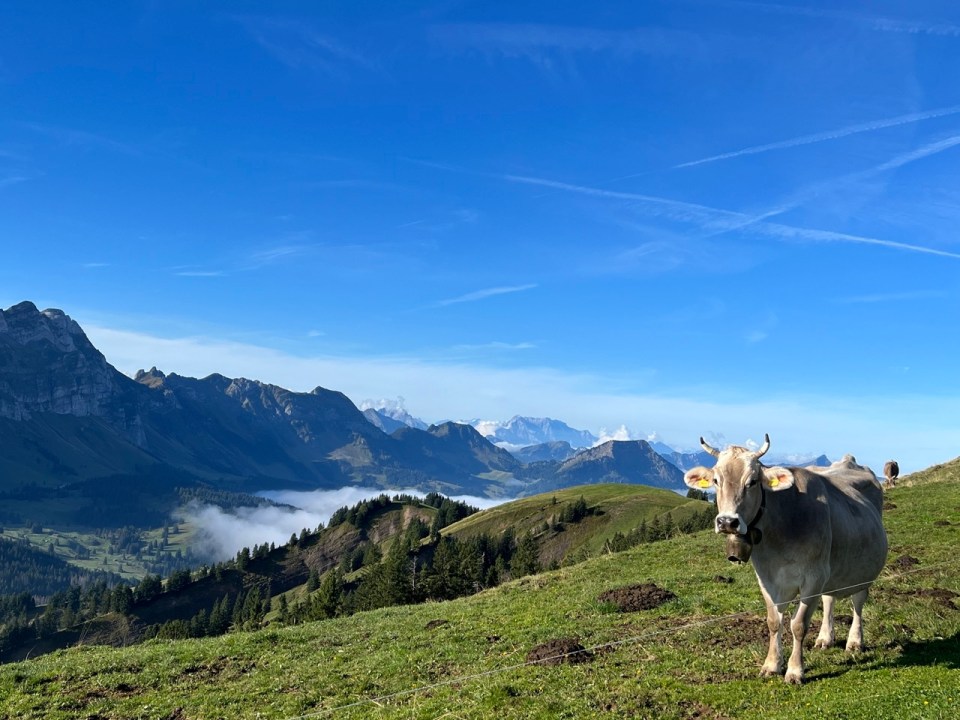 Sommet du Kronberg, Appenzell