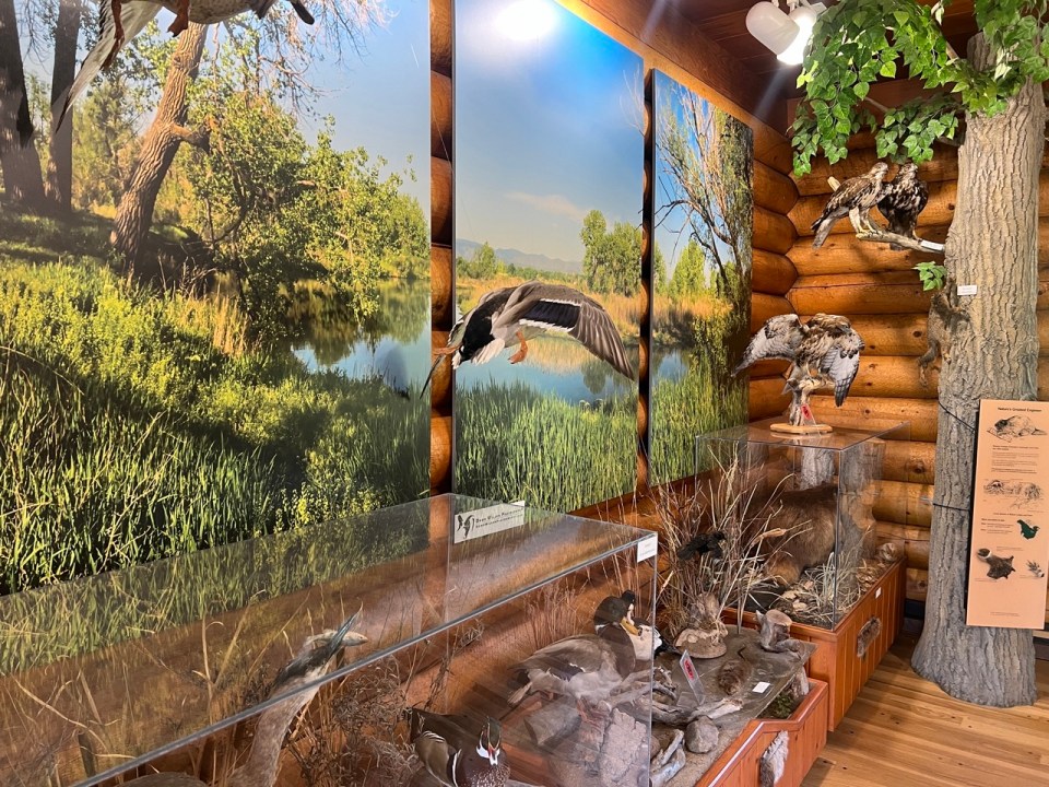 Carson Nature Center and South Platte Park