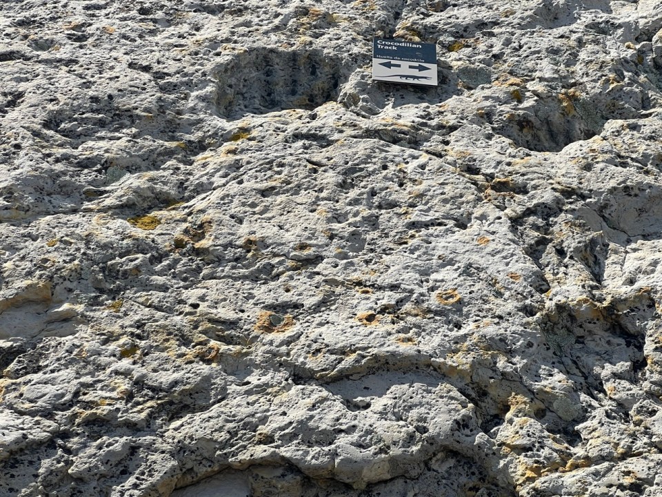 Dinosaur Ridge Denver Denver