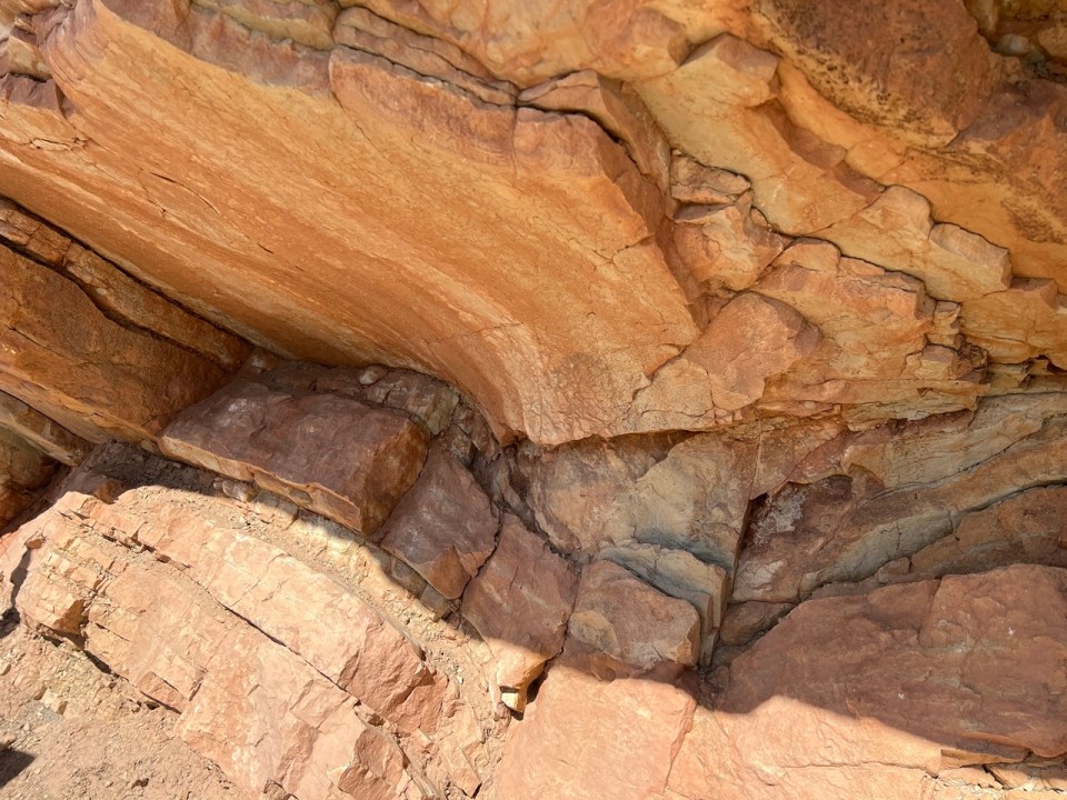 Dinosaur Ridge Denver Denver