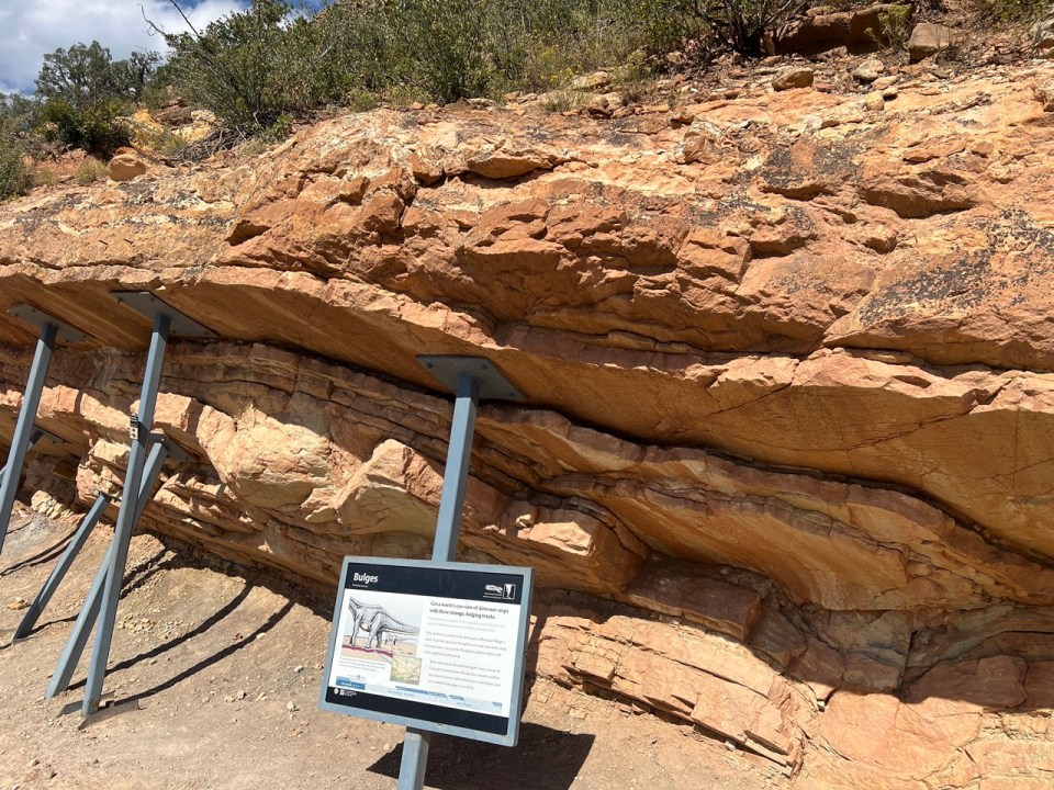 Dinosaur Ridge Denver Denver