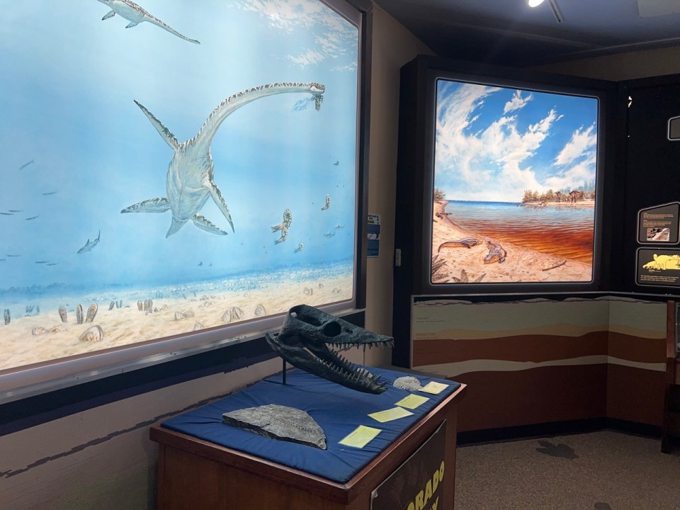 Dinosaur Ridge Denver