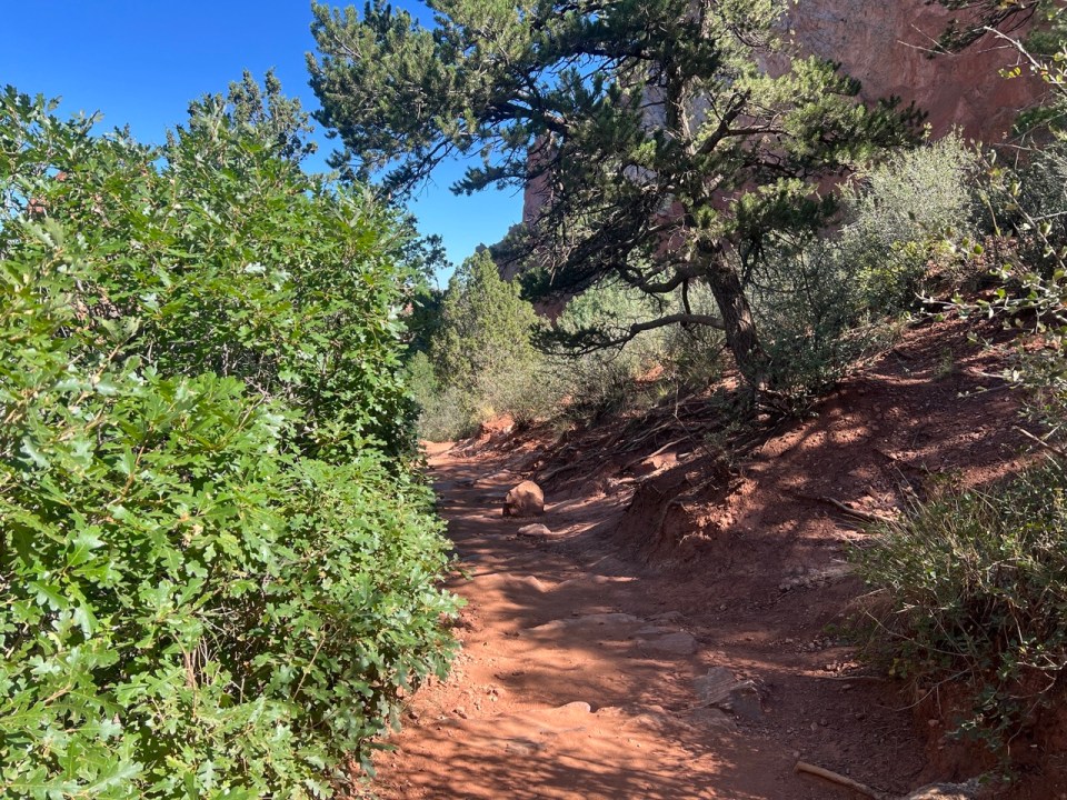 Perkins Central -Garden Trail à Garden of the Gods